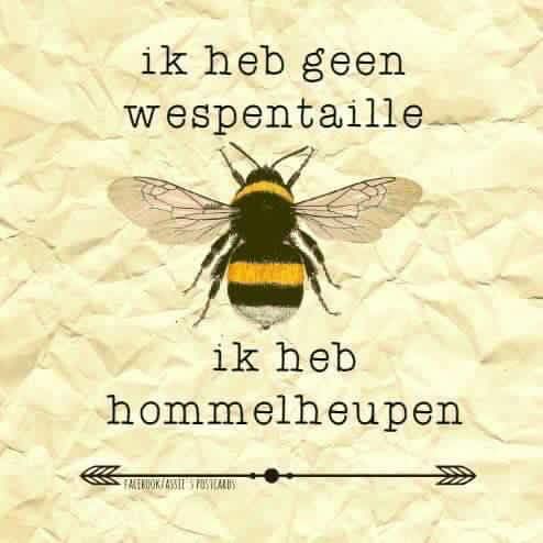 van Helen.jpg