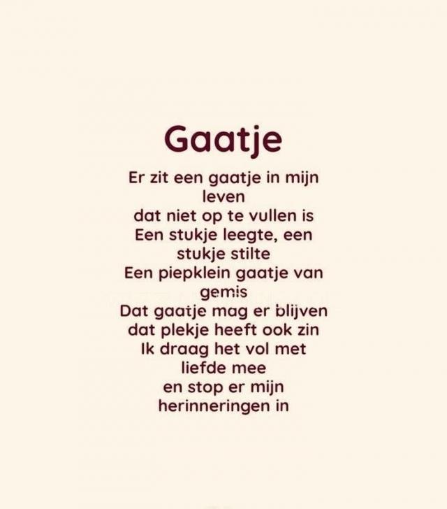 van Helen.jpg