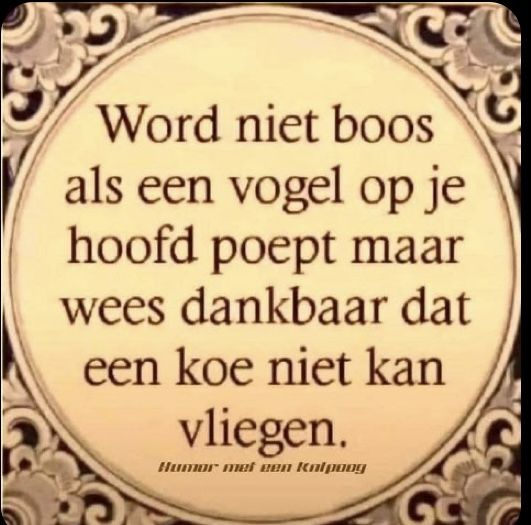 van Helen.jpg