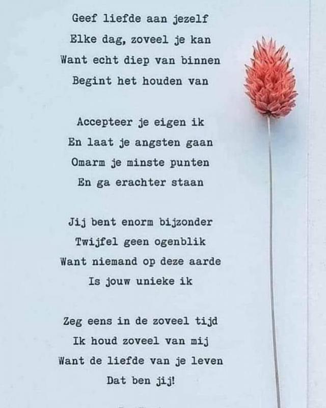 van Helen.jpg