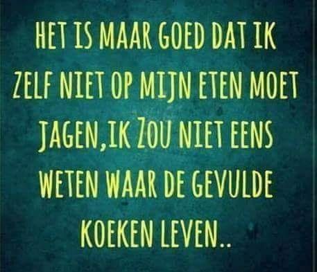 van Helen.jpg